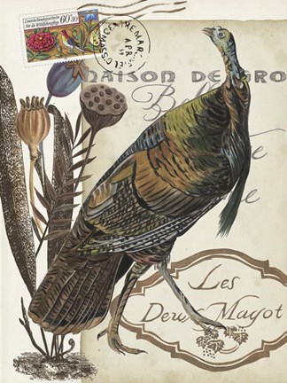 Framed Autumn Palette II Print