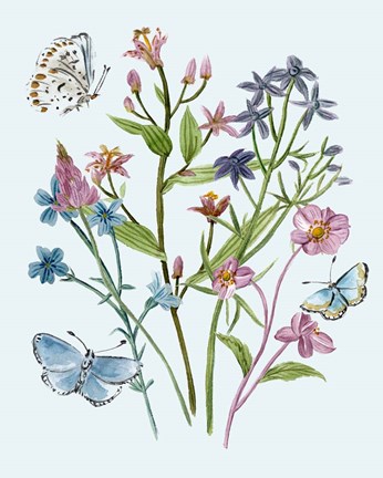 Framed Wildflowers Arrangements I Print