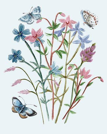 Framed Wildflowers Arrangements III Print