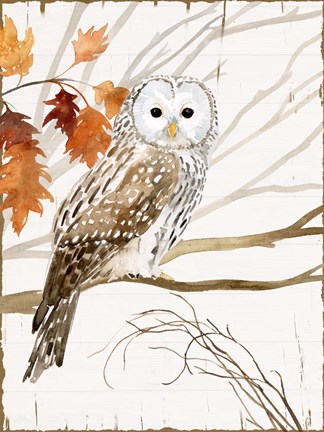Framed Harvest Owl I Print