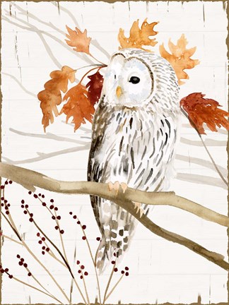 Framed Harvest Owl II Print