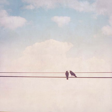 Framed Birds on Wires II Print