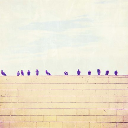 Framed Birds on Wires III Print