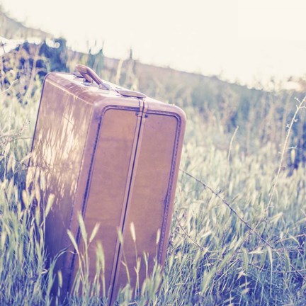 Framed Vintage Office II Print