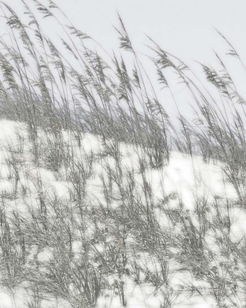 Framed Lush Dunes III Print