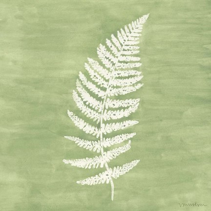 Framed Forest Ferns III Print