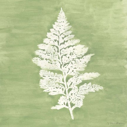 Framed Forest Ferns IV Print