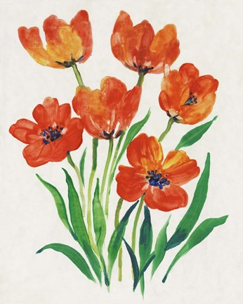 Framed Red Tulips in Bloom II Print