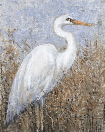 Framed White Heron I Print