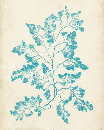 Framed Aquamarine Seaweed I Print