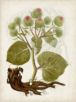 Framed Vintage Charm III Print