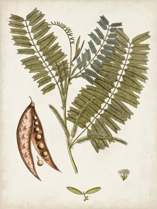 Framed Vintage Charm VII Print