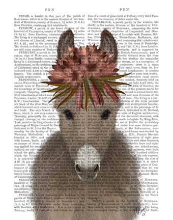 Framed Donkey Bohemian 1 Book Print Print