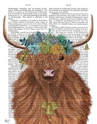 Framed Highland Cow Bohemian 1 Book Print Print