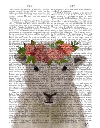 Framed Sheep Bohemian 1 Book Print Print