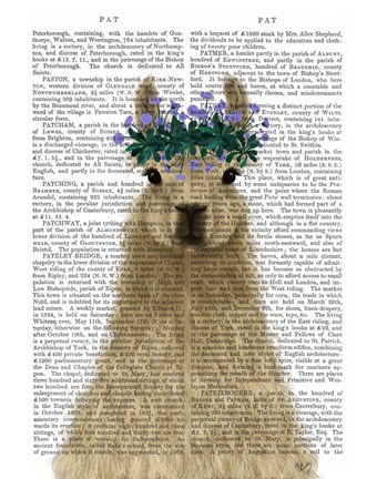 Framed Llama Bohemian 1 Book Print Print