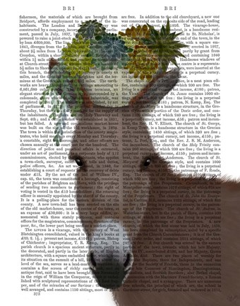 Framed Donkey Succulent Book Print Print