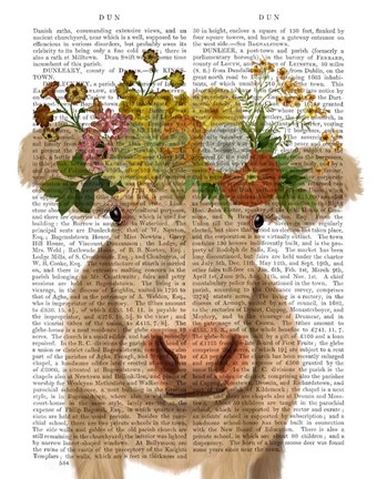 Framed Cow Cream Bohemian 1 Book Print Print