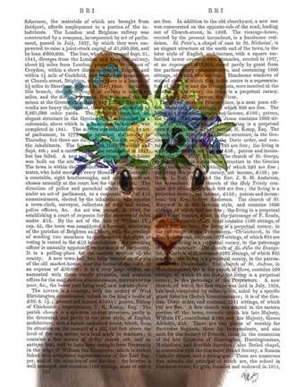 Framed Rabbit Bohemian Book Print Print