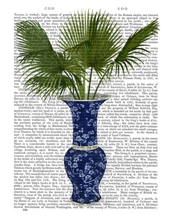Framed Chinoiserie Vase 8, With Plant Book Print Print