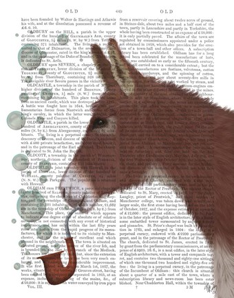 Framed Donkey Bubble Pipe, Portrait Book Print Print