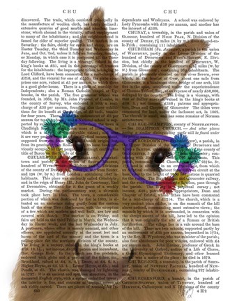 Framed Donkey Purple Flower Glasses Book Print Print