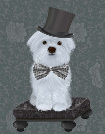 Framed Maltese with Top Hat Print