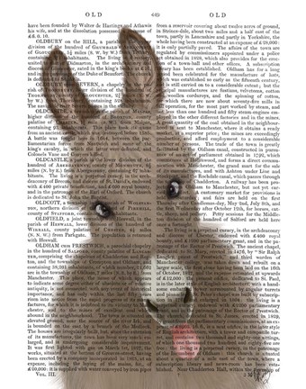 Framed Funny Farm Donkey 2 Book Print Print