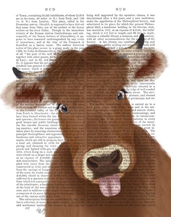 Framed Funny Farm Cow 2 Book Print Print