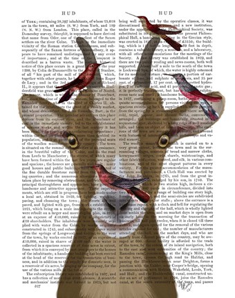 Framed Goat and Red Birds Book Print Print