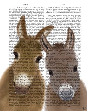 Framed Donkey Duo, Looking at You Book Print Print