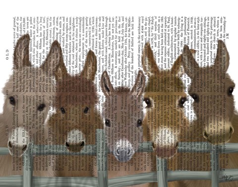 Framed Donkey Herd at Fence Book Print Print