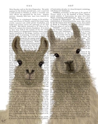 Framed Llama Duo, Looking at You Book Print Print