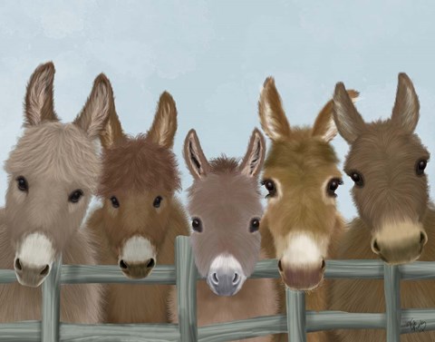 Framed Donkey Herd at Fence Print