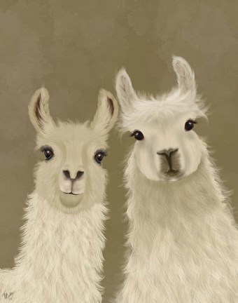 Framed Llama Duo, Looking at You Print