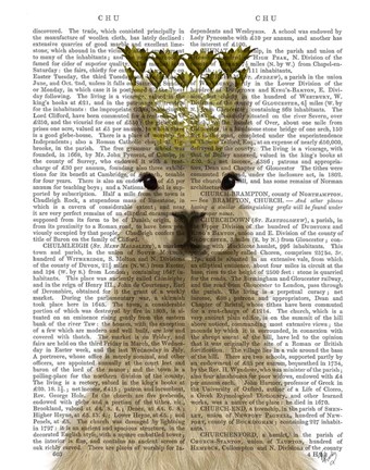 Framed Llama Queen Book Print Print