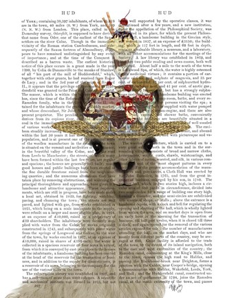 Framed Llama Ice Cream Hat Book Print Print
