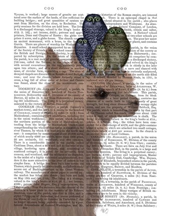 Framed Llama Owls, Portrait Book Print Print