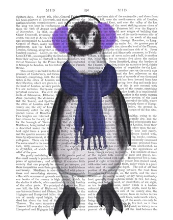 Framed Penguin Ear Muffs Book Print Print