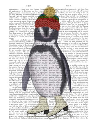 Framed Penguin Ice Skating Book Print Print