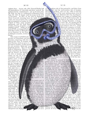 Framed Penguin Snorkel Book Print Print