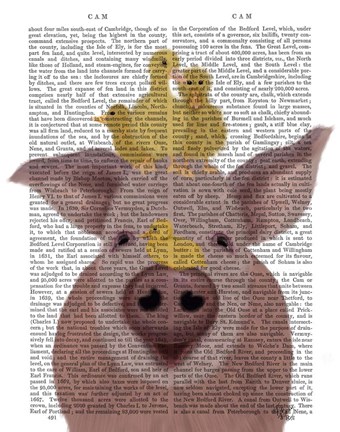 Framed Pig and Ducklings Book Print Print