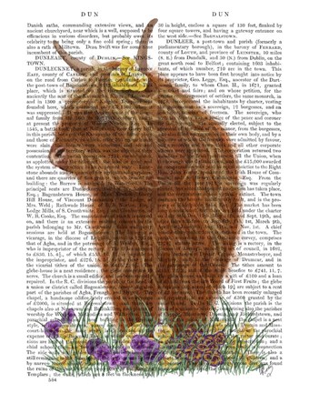 Framed Highland Cow, Pansy Book Print Print