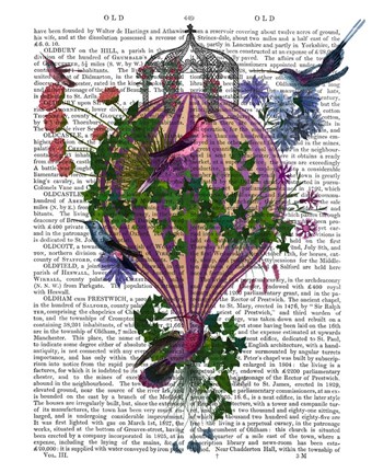 Framed Bird Balloon 1 Book Print Print