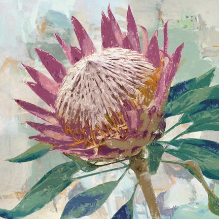 Framed Protea King Print