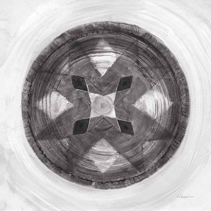 Framed Woven Beauty III BW Print