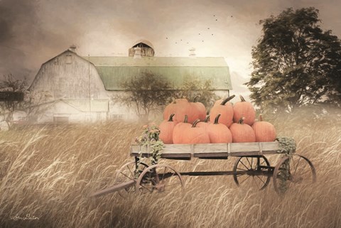 Framed Pumpkin Harvest Print