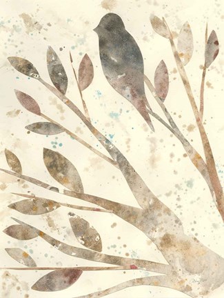 Framed Natural Wonder II Print