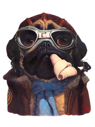 Framed Aviator Pug Print