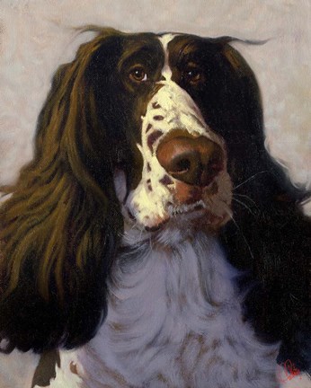 Framed Springer Print